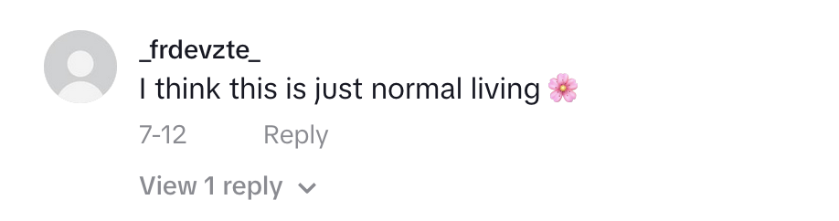 TikTok comment
